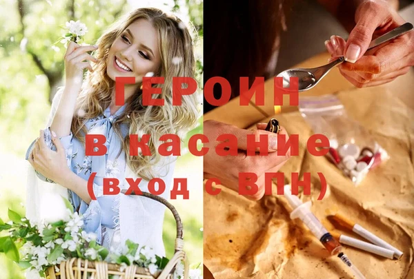 прущие грибы Беломорск