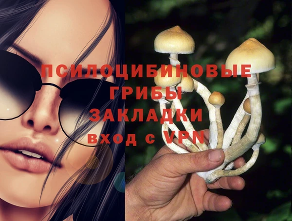 мдпв Богородицк