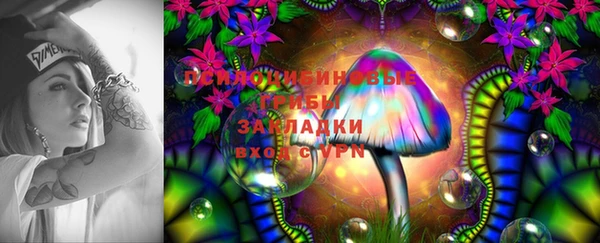 тгк Богородск