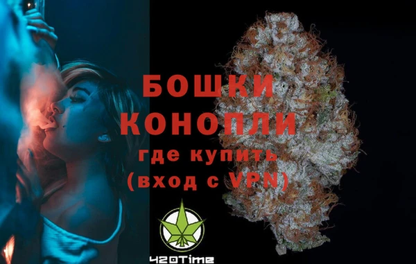 шишки Приозерск