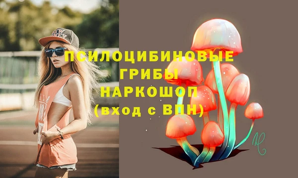 мдпв Богородицк