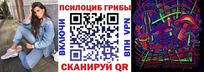 где продают   Верхотурье  Псилоцибиновые грибы ЛСД 